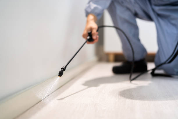 Licensed Pest Control service in North Browning, MT - Show Me Pest Control