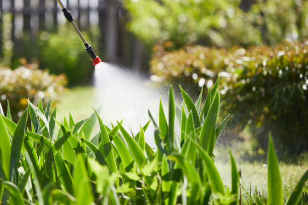 24/7 Emergency Wasp Removal experts in North Browning, MT