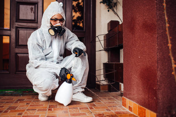 Reliable Wasp Removal contractor in North Browning, MT by Show Me Pest Control